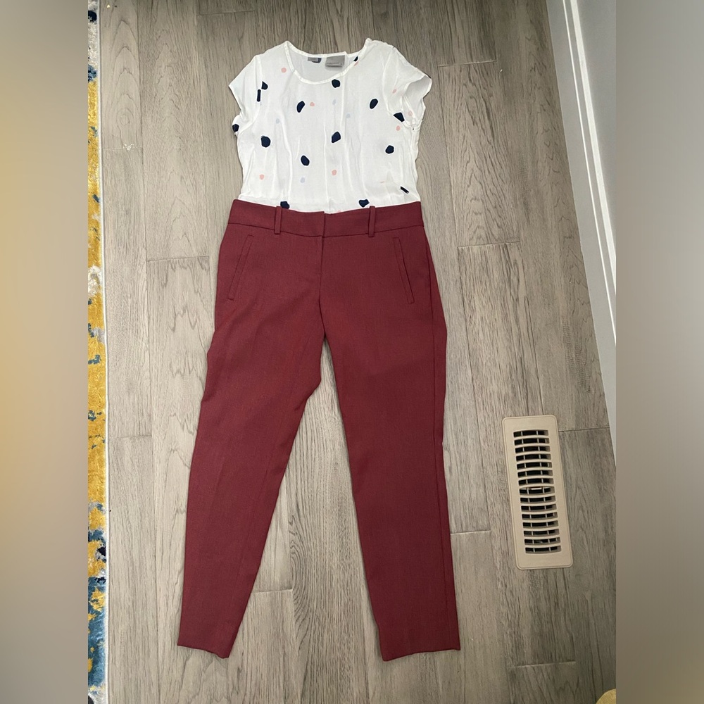 The Limited Dress Pants